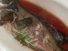清蒸石斑鱼-亢龙太子酒轩(东湖店)