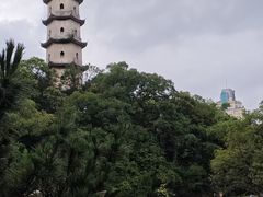 -江心屿景区