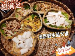 -滇野云南野生菌餐厅(陕西南路店)