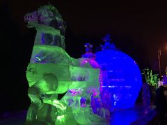 -长春公园(普阳街道)