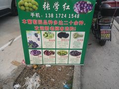 -马陆小张葡萄园农家乐