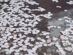 -南浦大桥长途旅游客运站