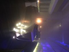 Ozone-OZONE 顶楼酒吧(香港丽思卡尔顿酒店)