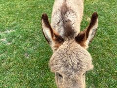 -武陵山森林公园