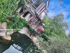 -老张烤羊(王哥庄店)