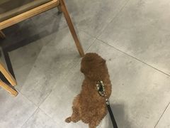 -海马体照相馆(重庆龙湖时代天街D馆店)