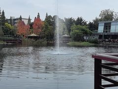 -成飞公园