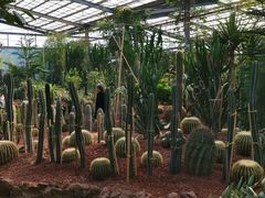 -呀路古热带植物园
