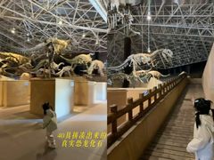 -世界恐龙谷景区