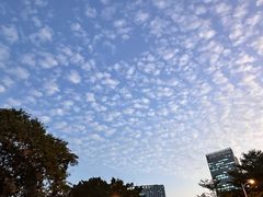 -荔香公园