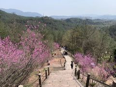 -天台山赤城山景区