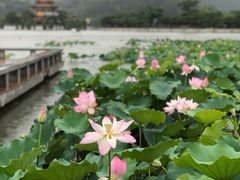 -顺峰山公园