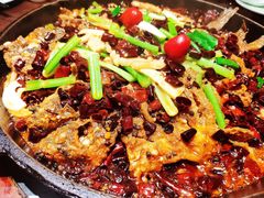 -老板恋上鱼(荣盛广场店)