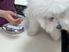-全心全意动物诊疗中心医院(北苑店)