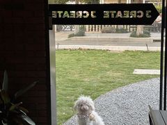 -J Create城市露营咖啡·简餐·宠物(上海动物园店)