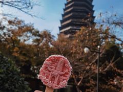 -红梅公园