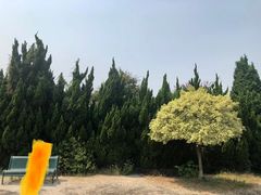 -南沙蒲洲花园