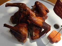 -大鸽饭(马王堆店)