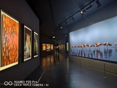 -罗红摄影艺术馆