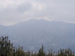 -王顺山国家森林公园