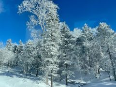 -雪谷