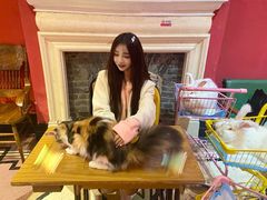 -猫色咖啡·猫咖