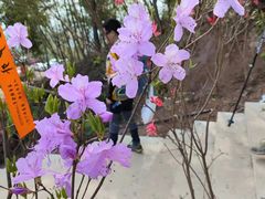 -十九峰景区-倒脱靴