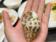 -吴记富苑(朝阳店)