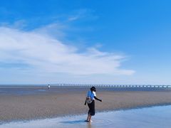 -南汇嘴观海公园