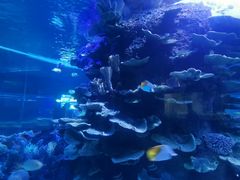 -左海海底世界
