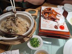 红烧乳鸽-大鸽饭(北京路店)