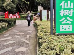 -神仙树公园