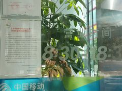 -中国移动通信集团上海有限公司