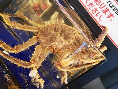 -蟹道乐(道顿堀本店)