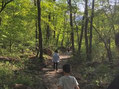 -三块石国家森林公园