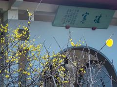 -无锡梅园公园