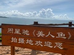 -杨梅坑