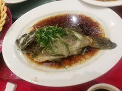 清蒸花尾龙趸斑-稻香酒家·33年老字号·港式粤菜(富邦中心店)