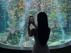 -合肥海洋世界