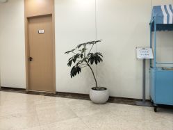 点击看大图 -上海伊莱美医疗美容医院