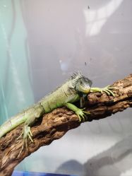 -Zoolung Zoolung动物主题公园(海信广场店)