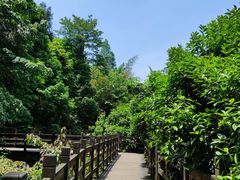 -凤栖山