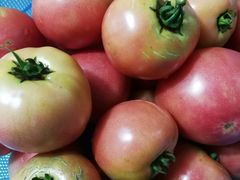 -小六农家乐(崇明西沙湿地店)