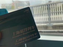 -龙阳路磁悬浮列车总站-停车场