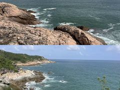 -广东惠东海龟国家级自然保护区