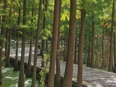 -云龙湖旅游景区