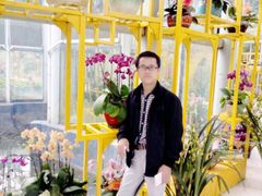 -松山湖梦幻百花洲