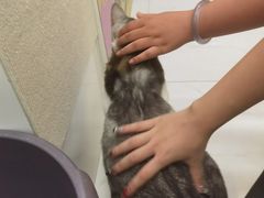 -谜盒子奇幻密室(南屏店)