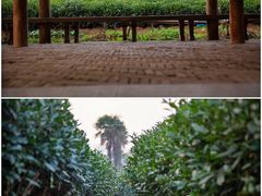 -茅家埠