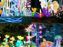 -海合安成都极地海洋公园